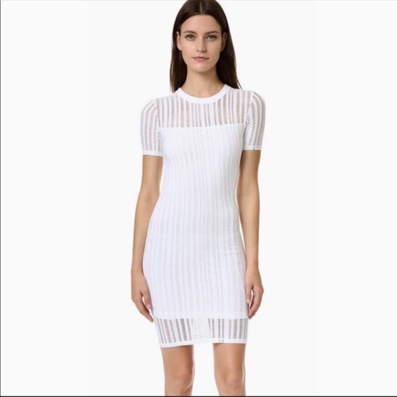alexander wang bodycon dress